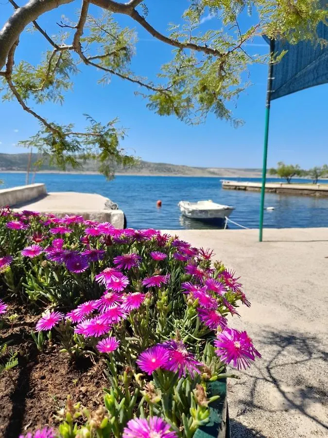 Apartmani Tomic Seline